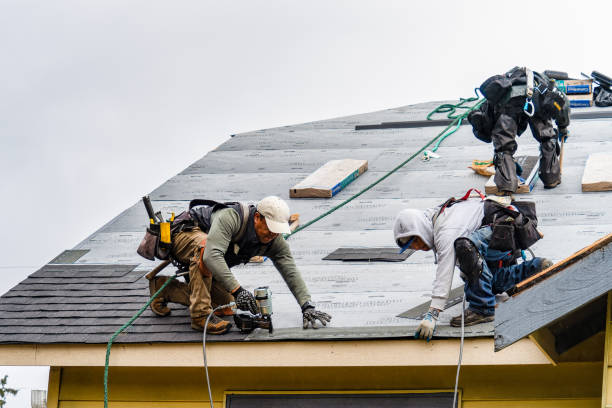 Professional Gutter Installation technician working in Warwick, MD